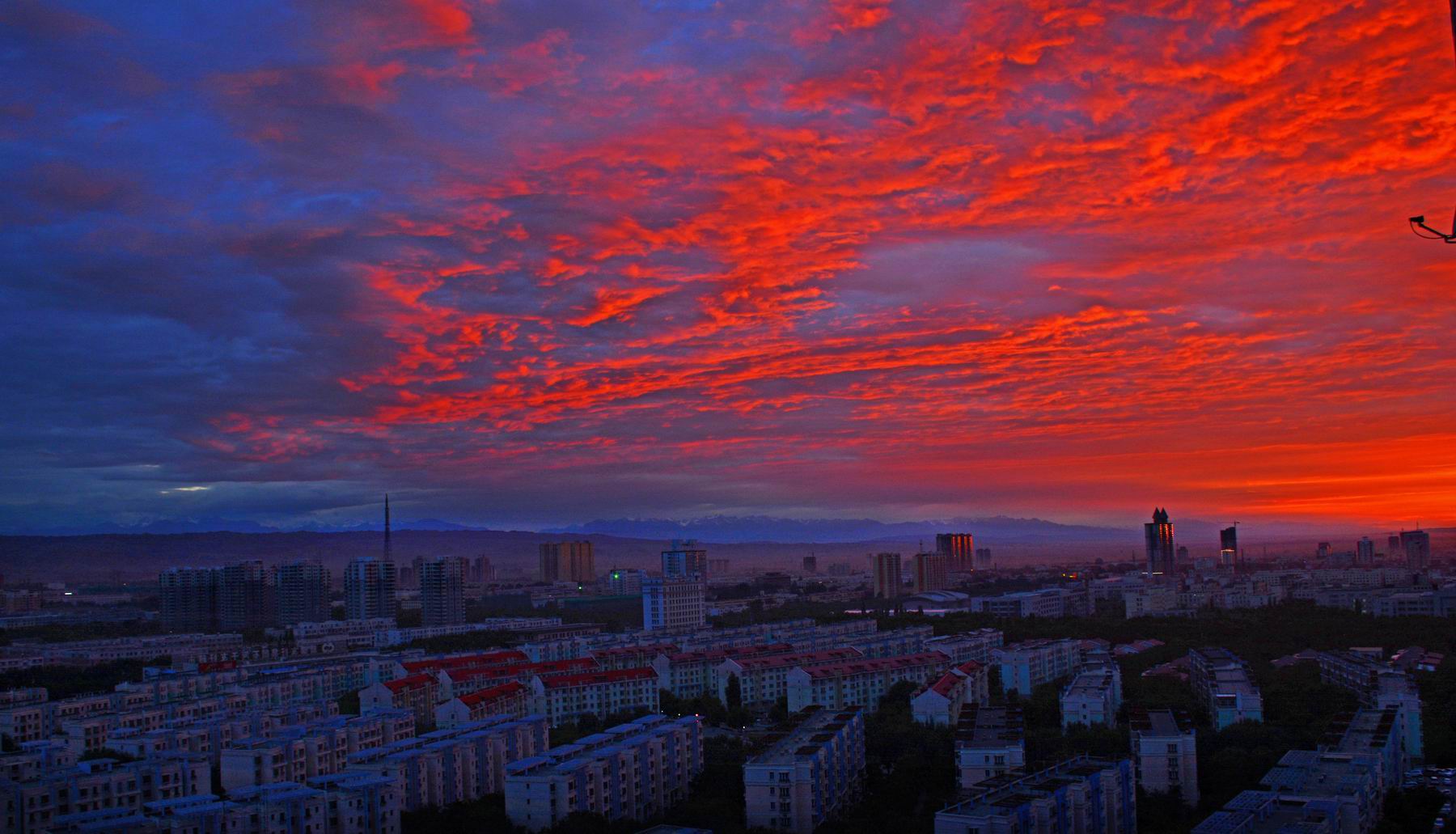 С DSC_40271_.jpg