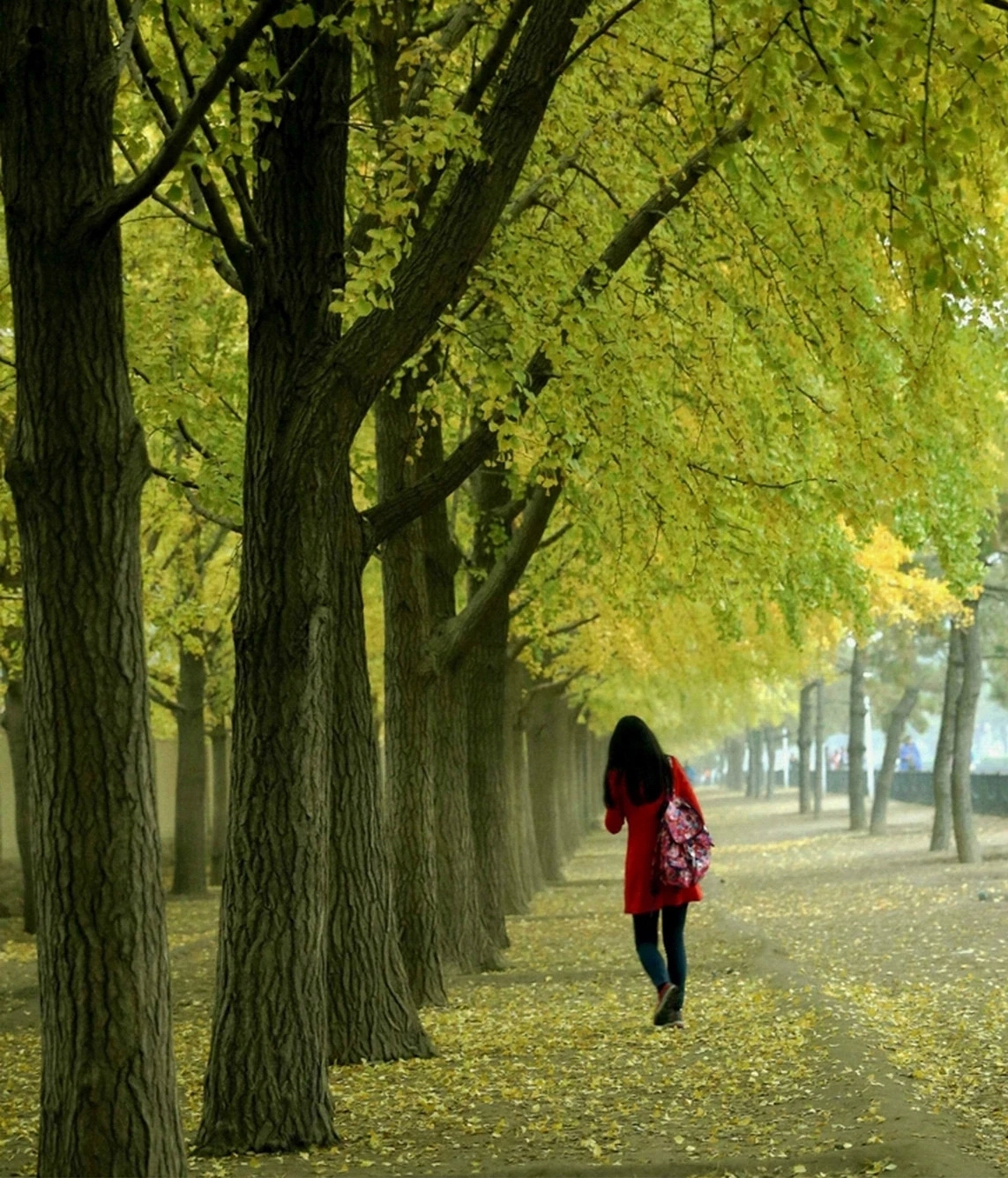 ps(2)_.jpg