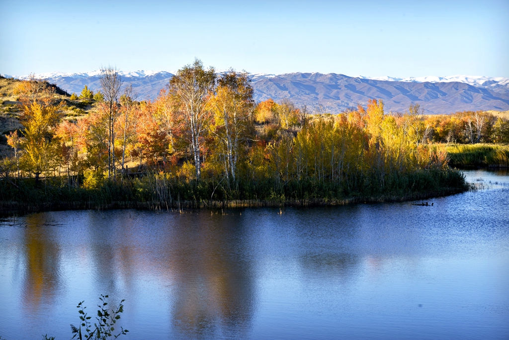 _DSC3466-1.jpg