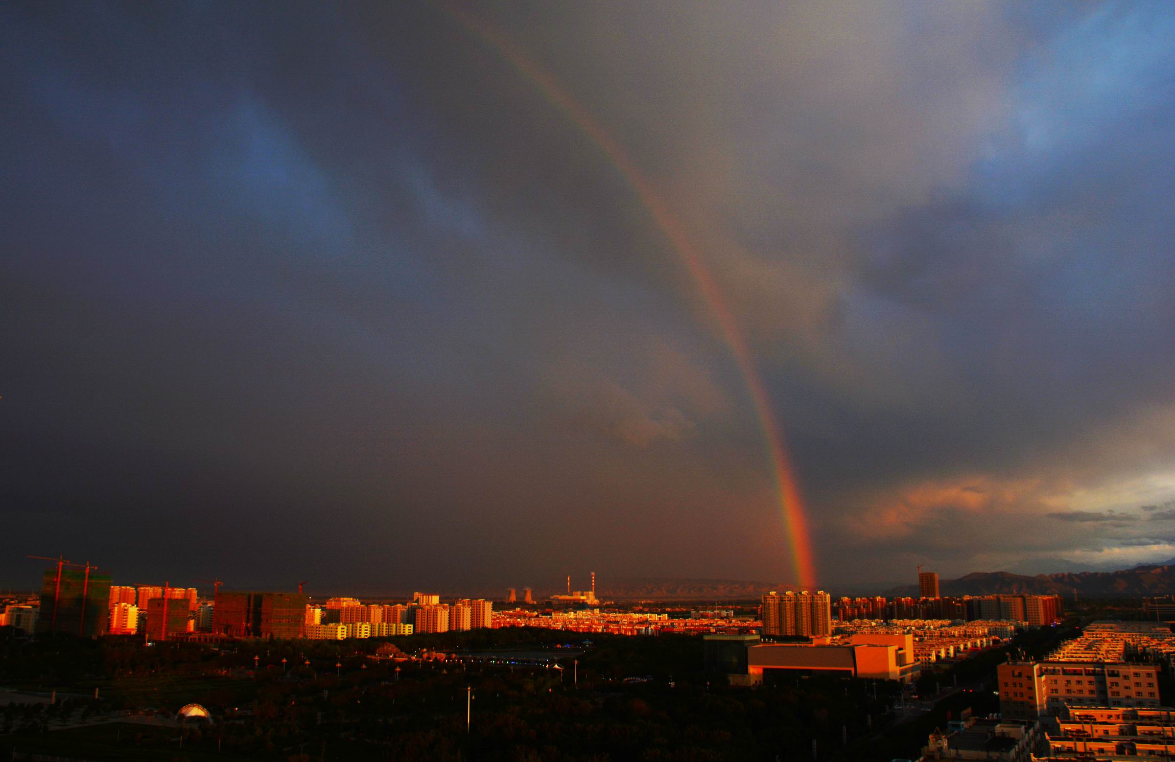 С DSC_8990.JPG