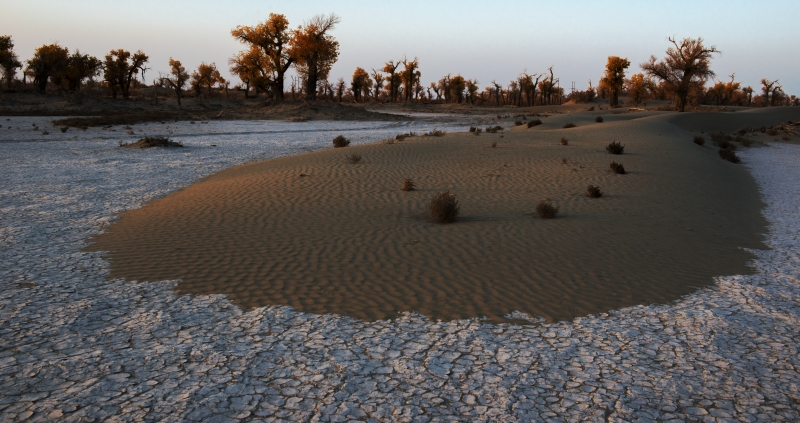 _GFS0555_1063.JPG