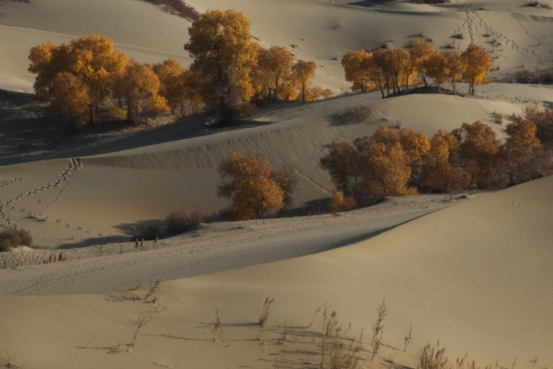 _GFS9593-1_1064.JPG