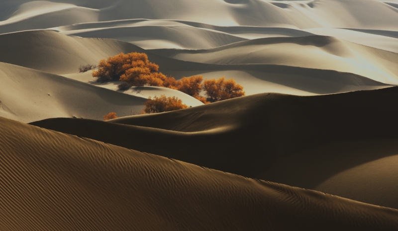 _GFS9884_1065.JPG
