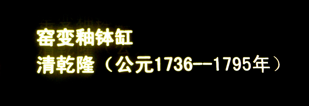 IMGL3844.jpg