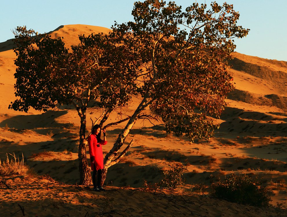 QDPP_1167.jpg