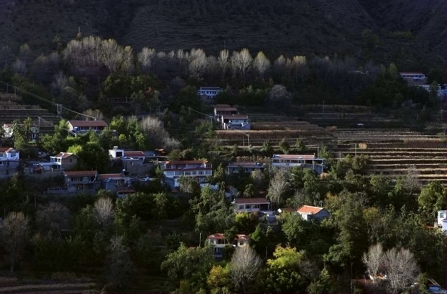 ¶СƬ (1).jpg