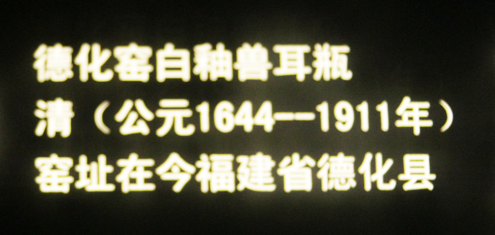 IMGL3848.jpg