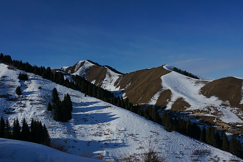 DSC01599_.jpg