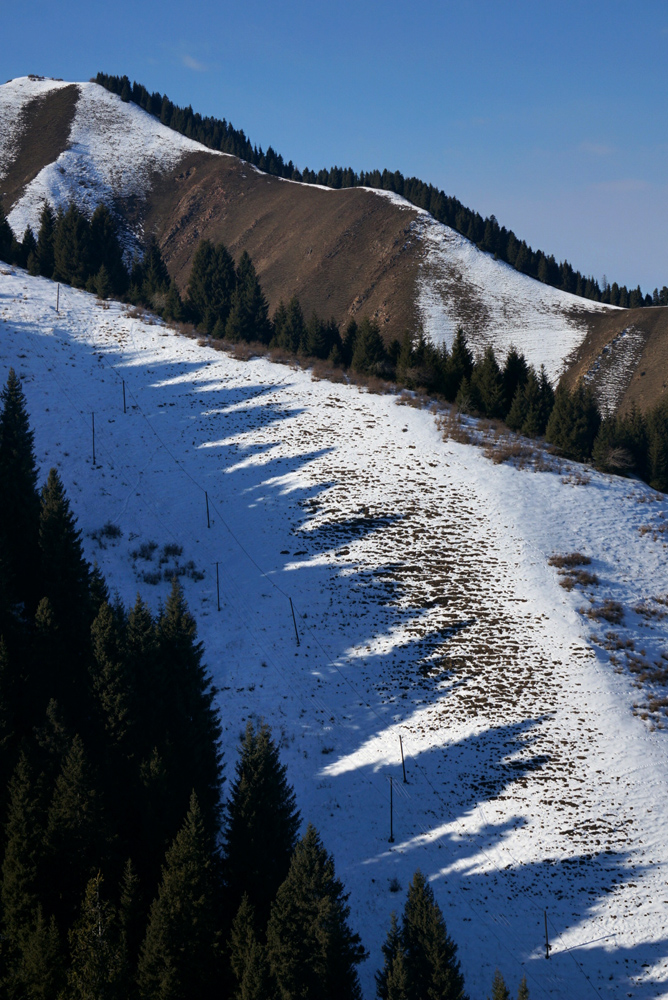 DSC01621_.jpg