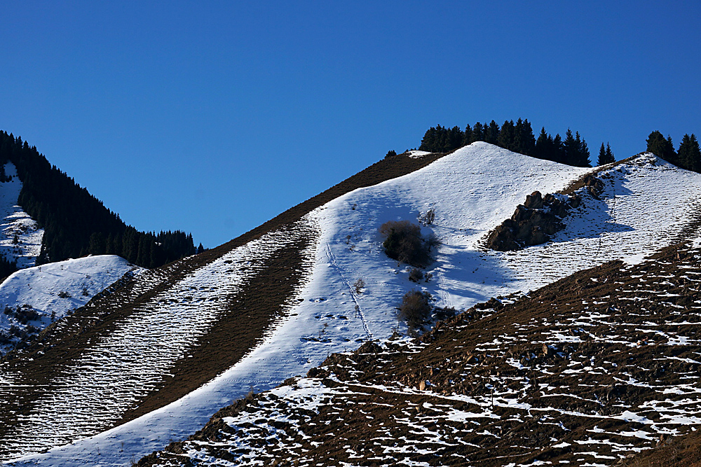 DSC01651_.jpg