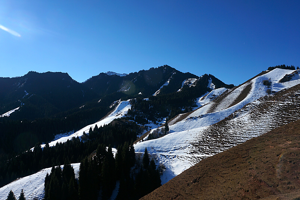 DSC01652_.jpg