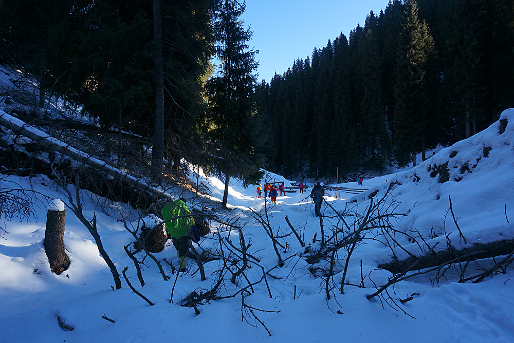 DSC01666_.jpg