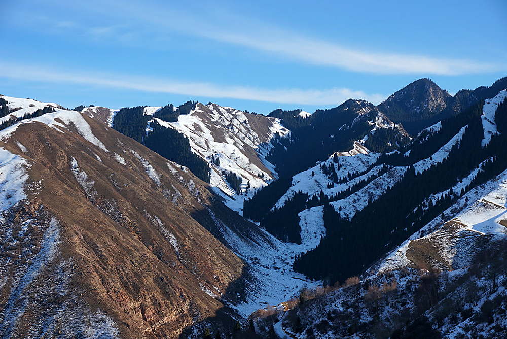 DSC01685_.jpg