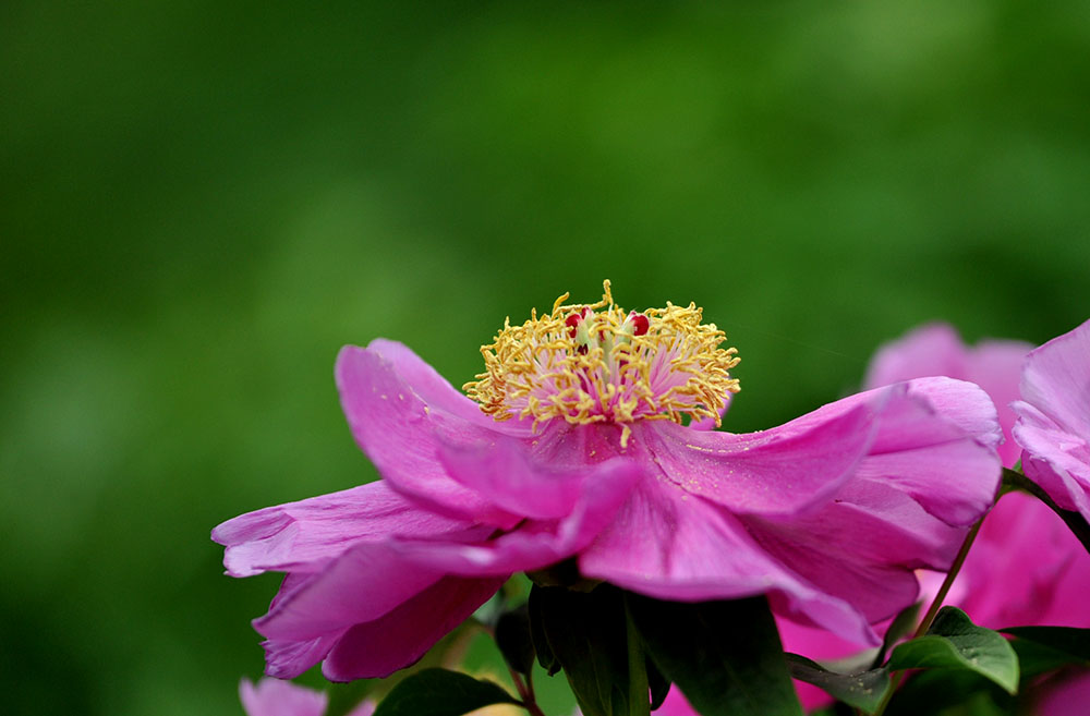 _SC_9641.JPG