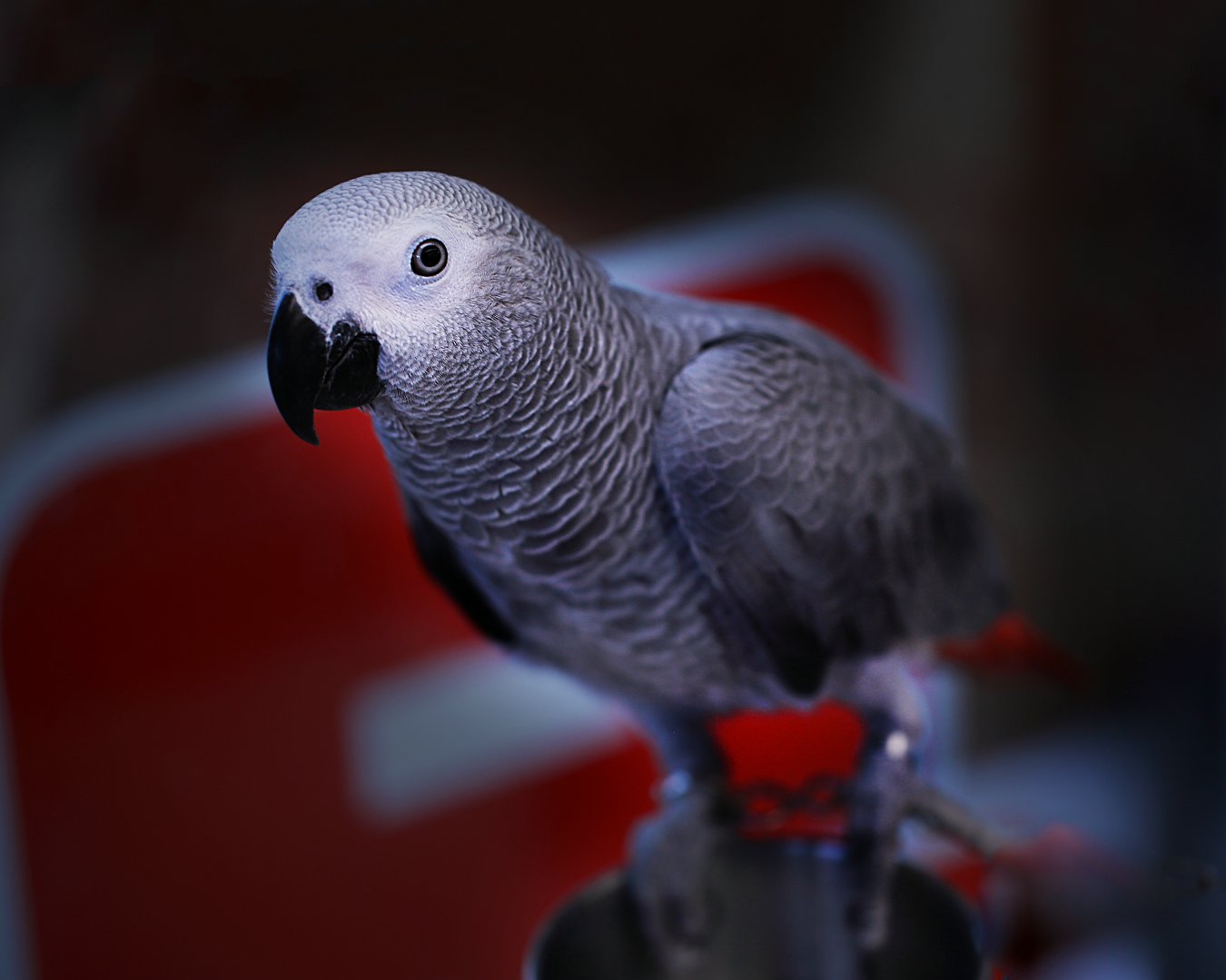 D7130.jpg