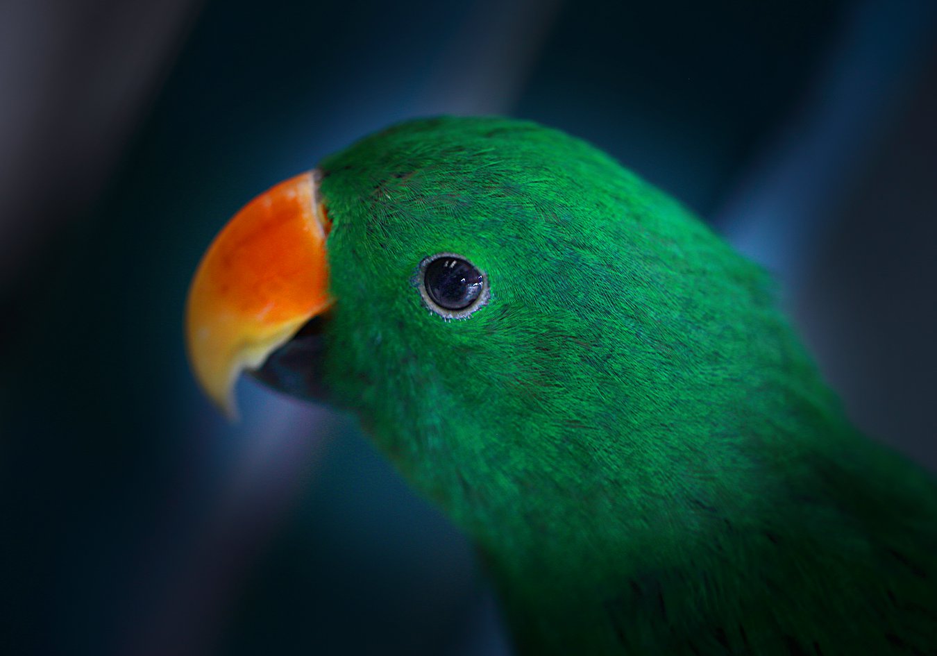 D7168.jpg