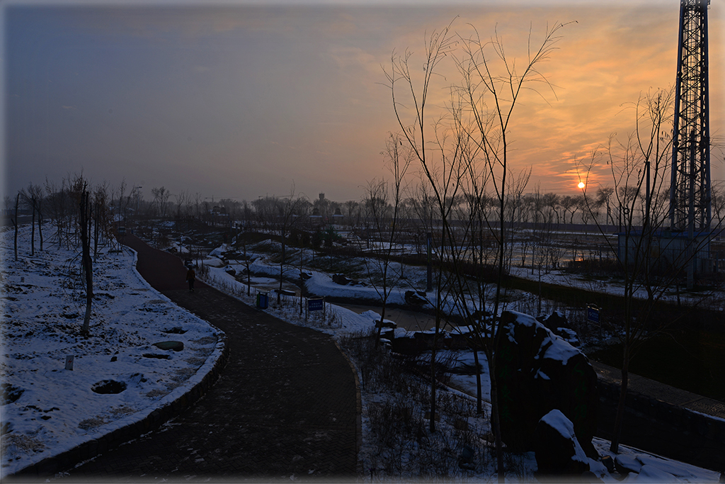 DSC_0010.JPG