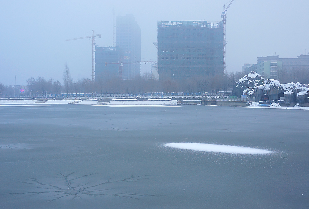 DSC01704.jpg