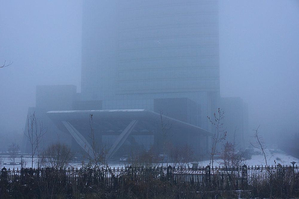 DSC01726.jpg