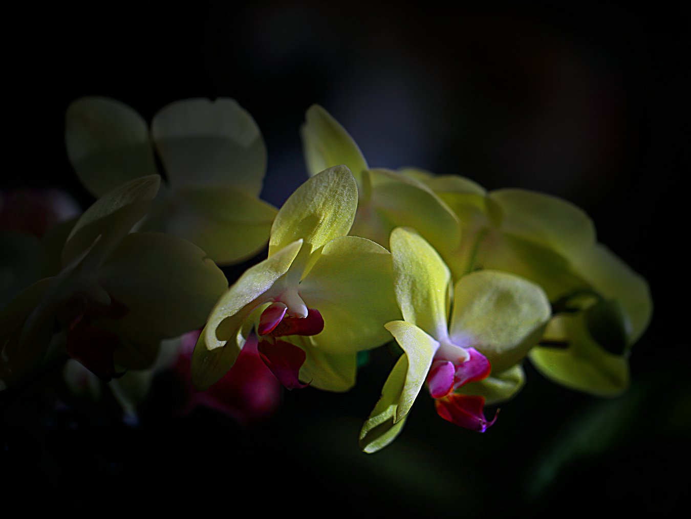 D7060.jpg