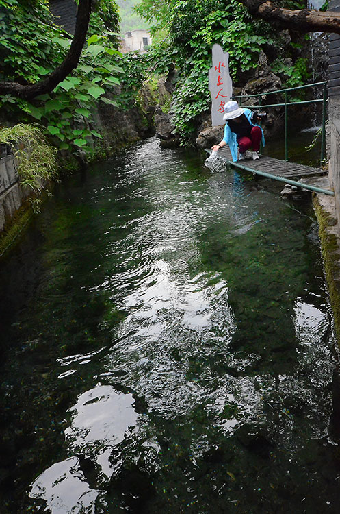 DSC_3103.jpg