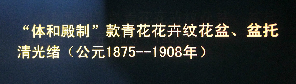 IMGL3868.jpg