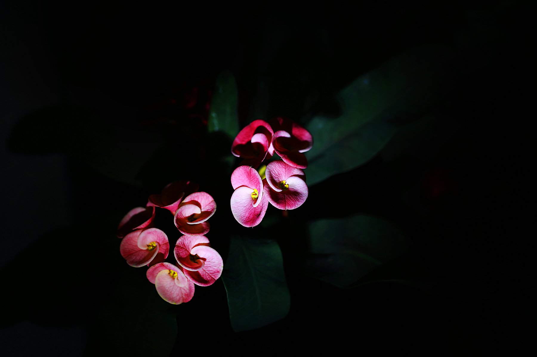 D7121.jpg