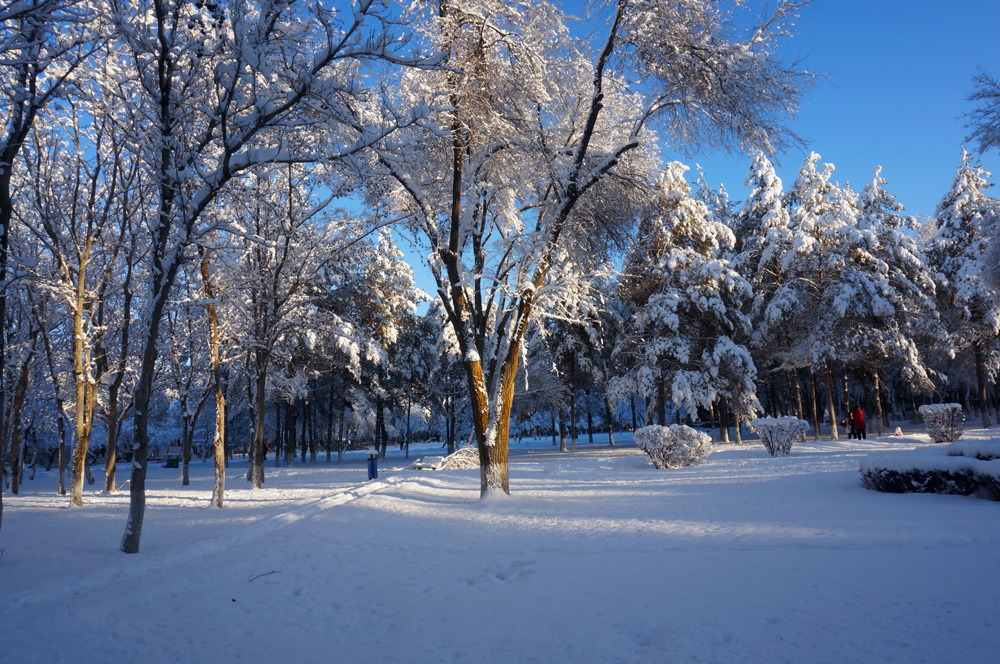 DSC01812.jpg