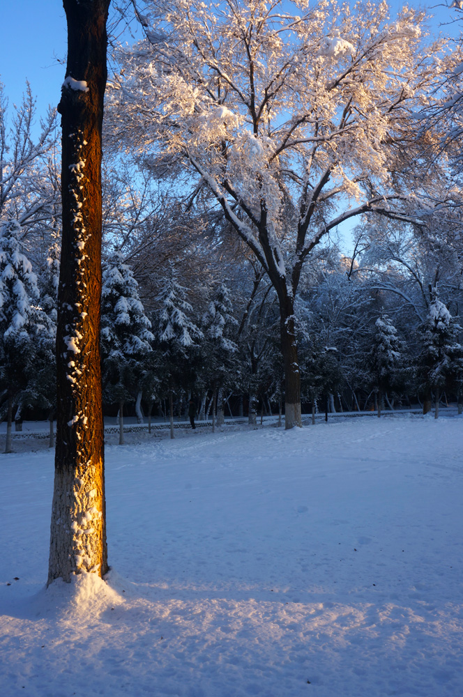 DSC01835.jpg