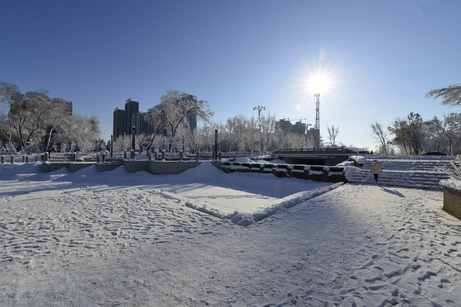 nEO_IMG__DSC6398.jpg