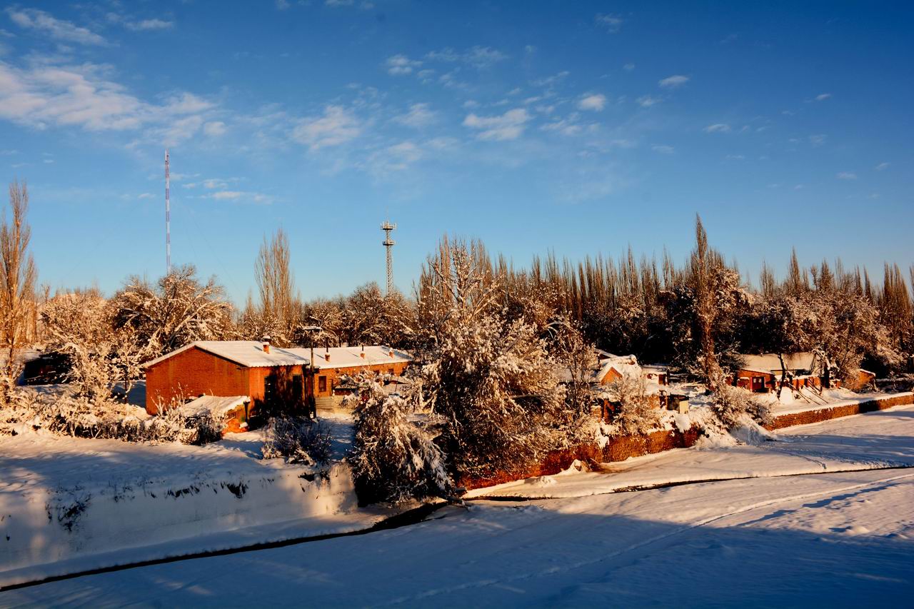 С С DSC_0316.JPG