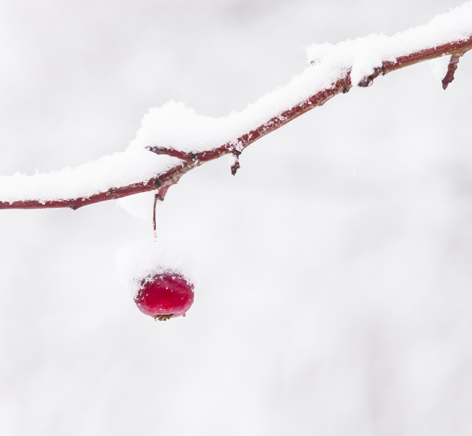 _DSC5199_1.JPG