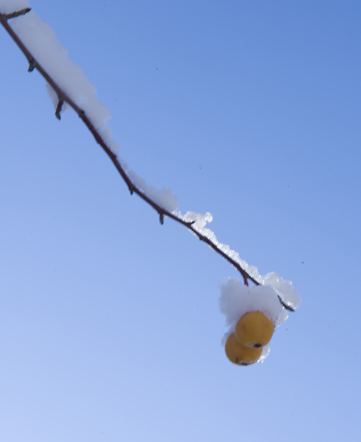 _DSC5562.JPG