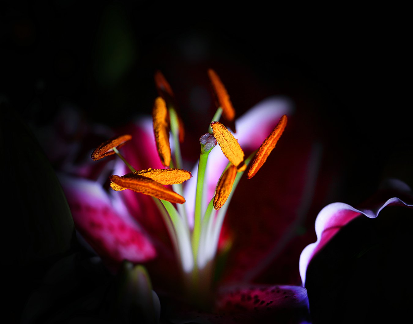D7076.jpg