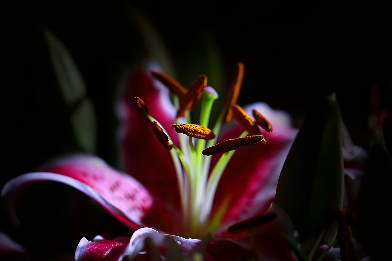 D7081.jpg