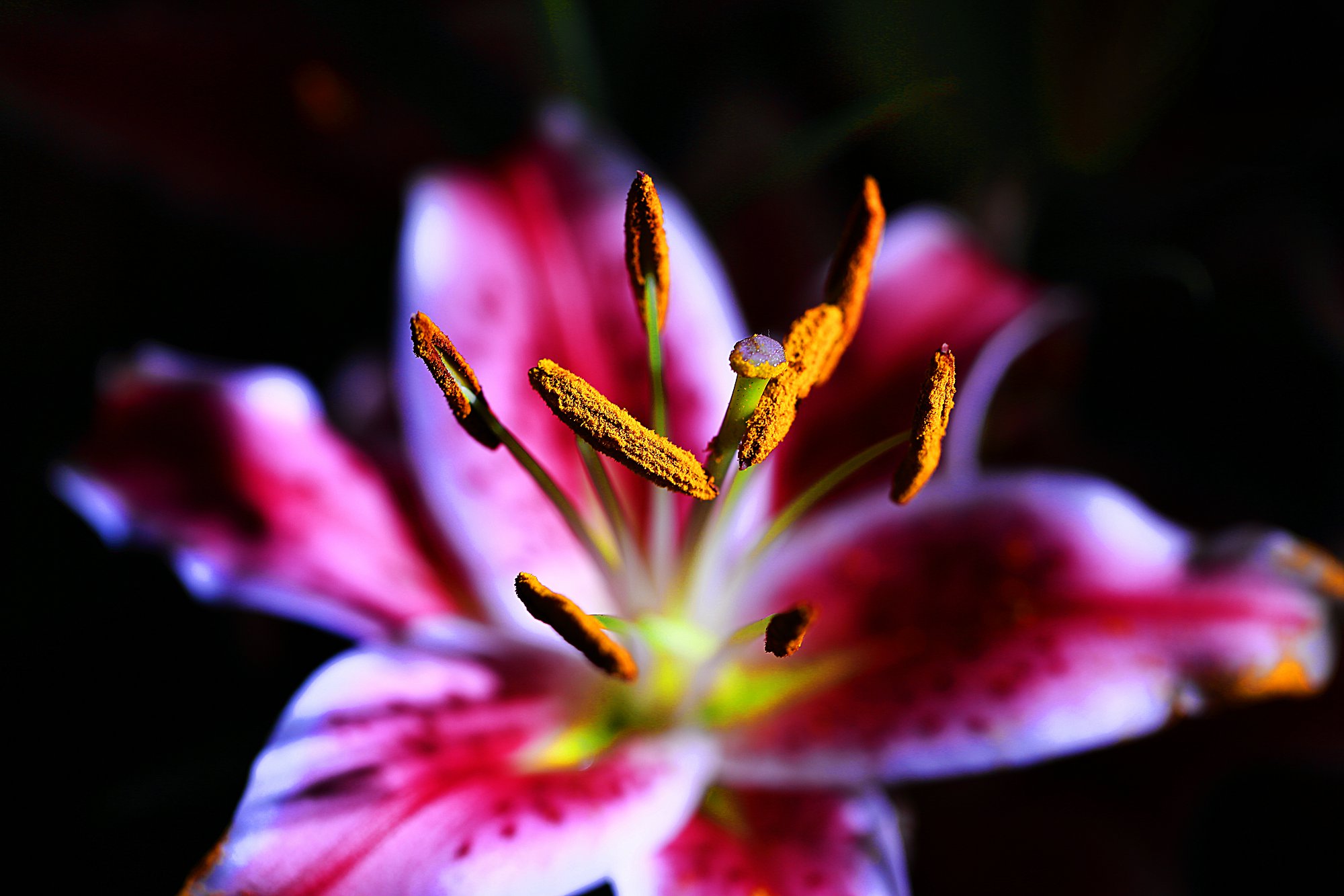 D7084.jpg