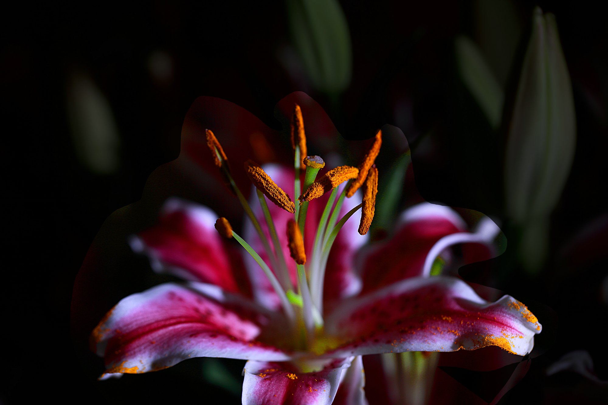 D7090.jpg