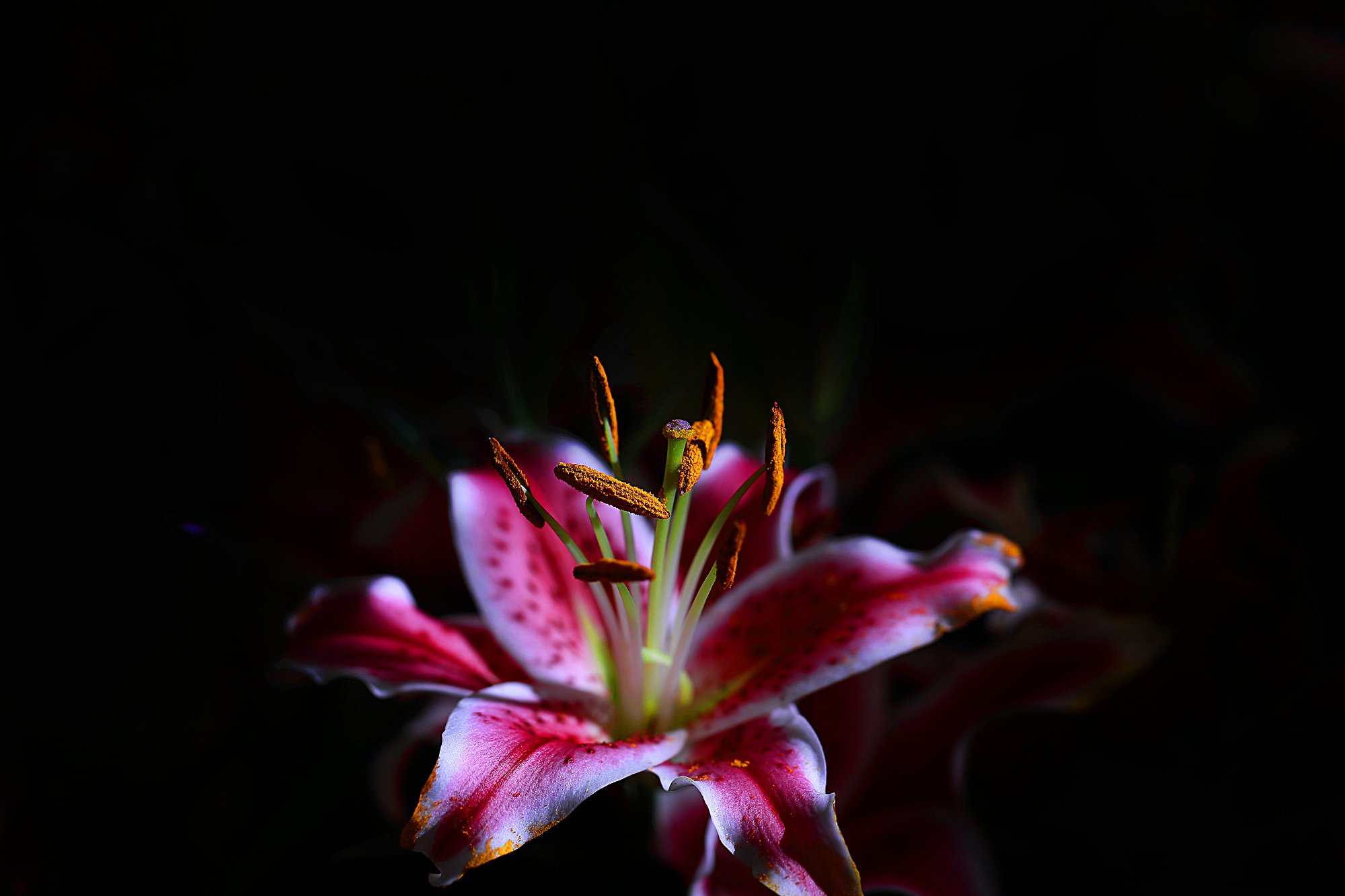 D7092.jpg