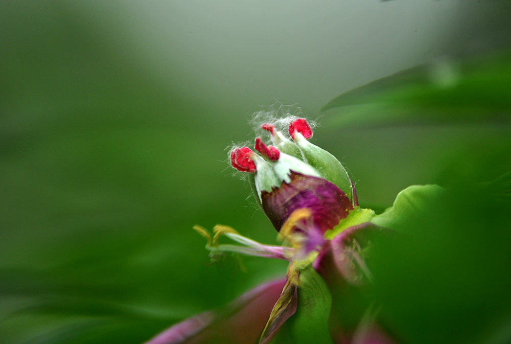 _SC_9657.JPG
