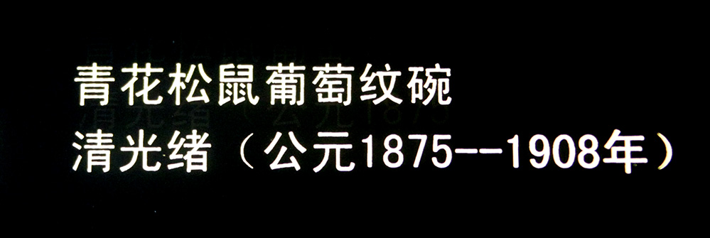 IMGL3870.jpg