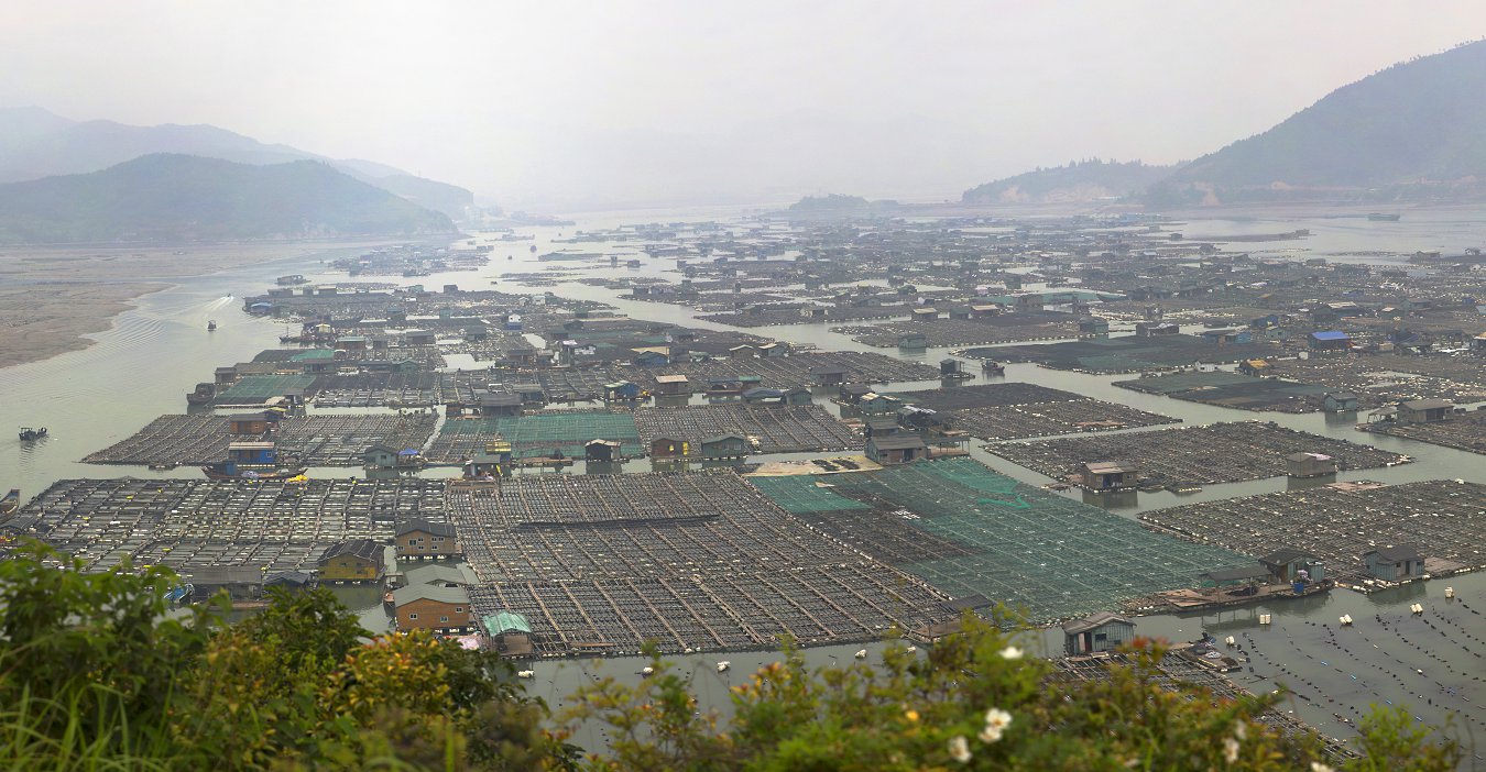 Q2951 Panorama.jpg