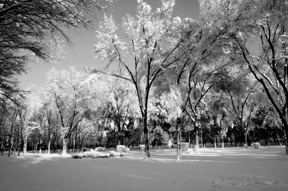 DSC01796_.jpg