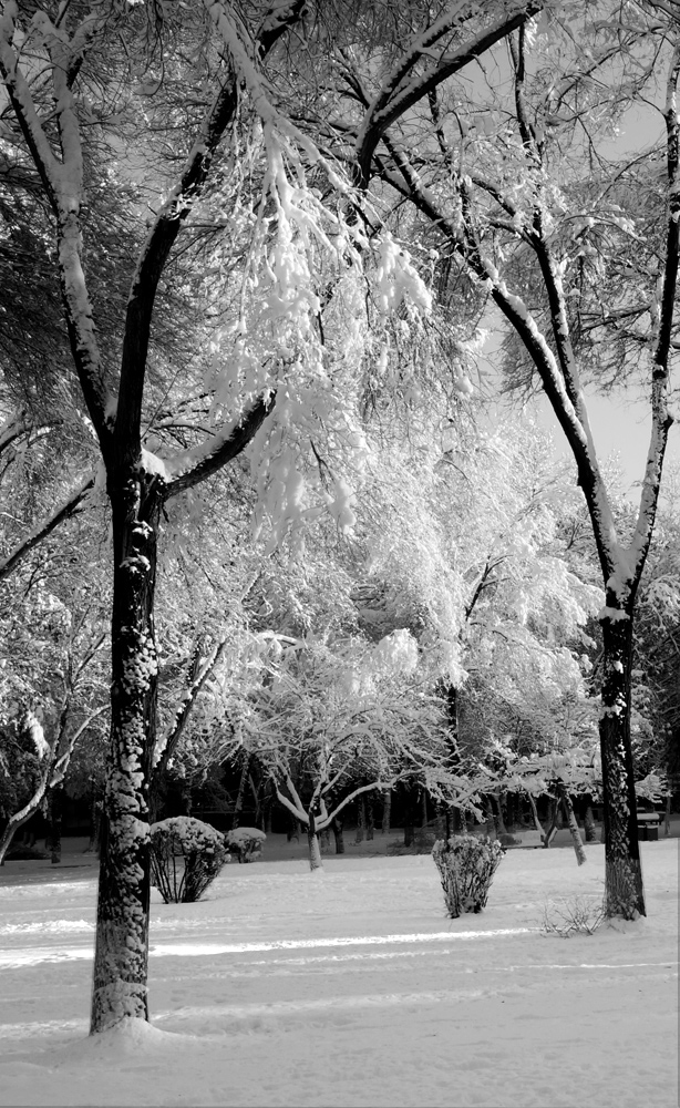 DSC01802_.jpg