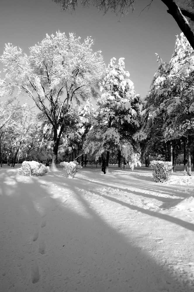 DSC01804_.jpg