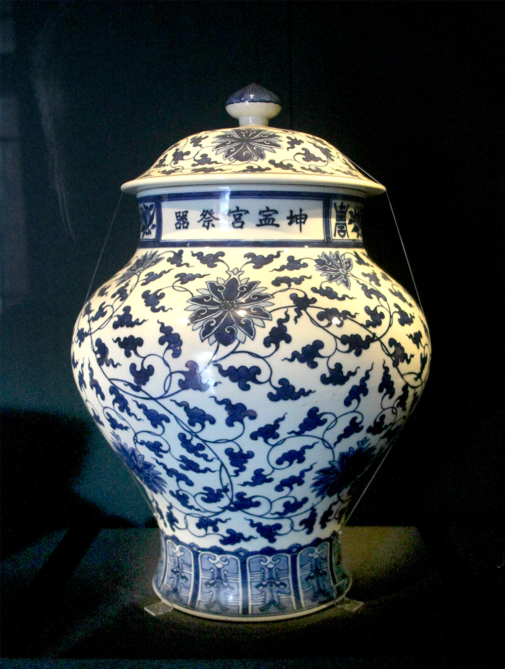 IMGL3871.jpg