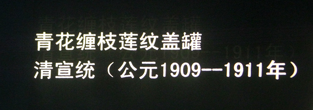 IMGL3872.jpg
