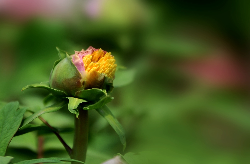 _SC_9678.JPG