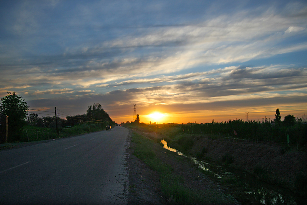IMG_4991.jpg