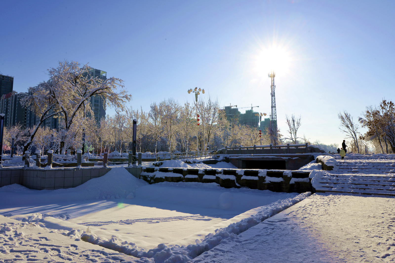 nEO_IMG__DSC6399.jpg