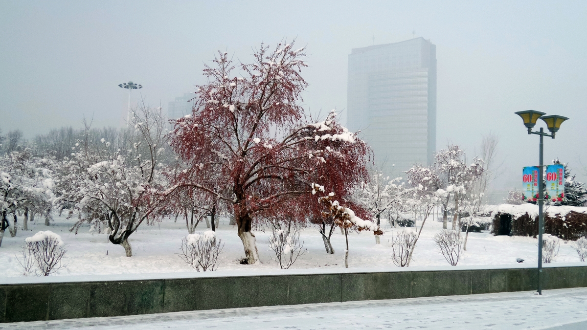 nEO_IMG_20151218_124349.jpg
